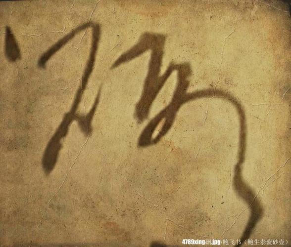 驅(qū)動(dòng)蛋白家族，驅(qū)動(dòng)蛋白的運(yùn)輸方向是從微管負(fù)端到正端